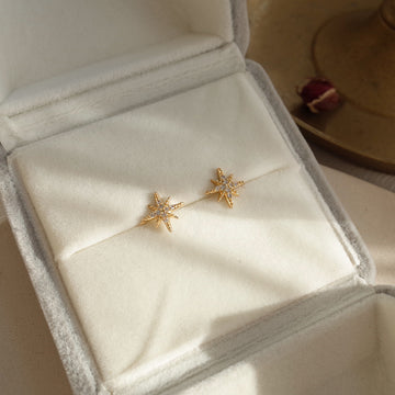 Fashion Star Clip Earring