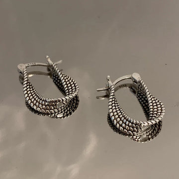 Twist Winding Geometric Earrings